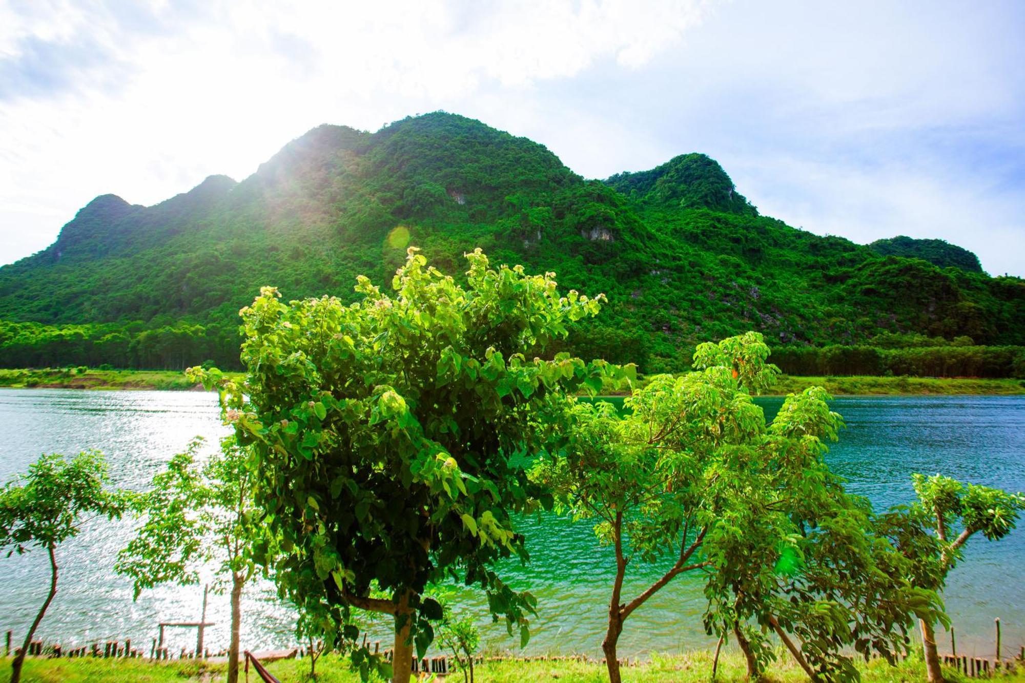 Phong Nha A Little Leaf Homestay Exterior photo