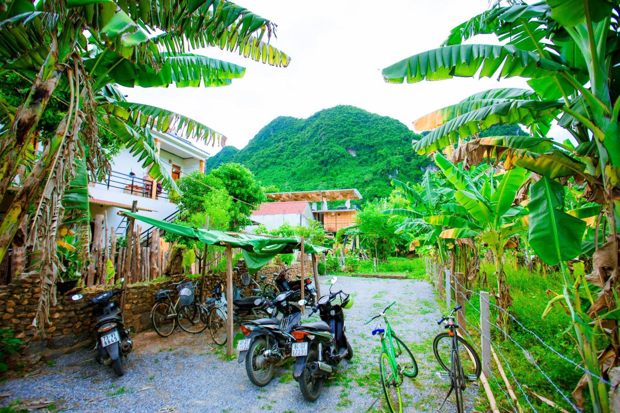 Phong Nha A Little Leaf Homestay Exterior photo