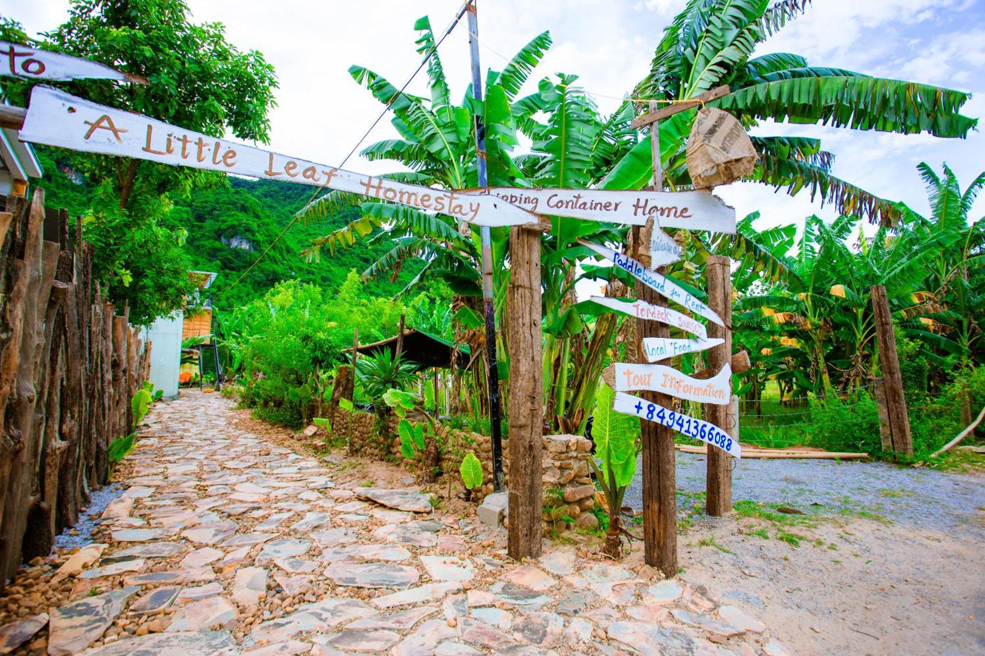 Phong Nha A Little Leaf Homestay Exterior photo